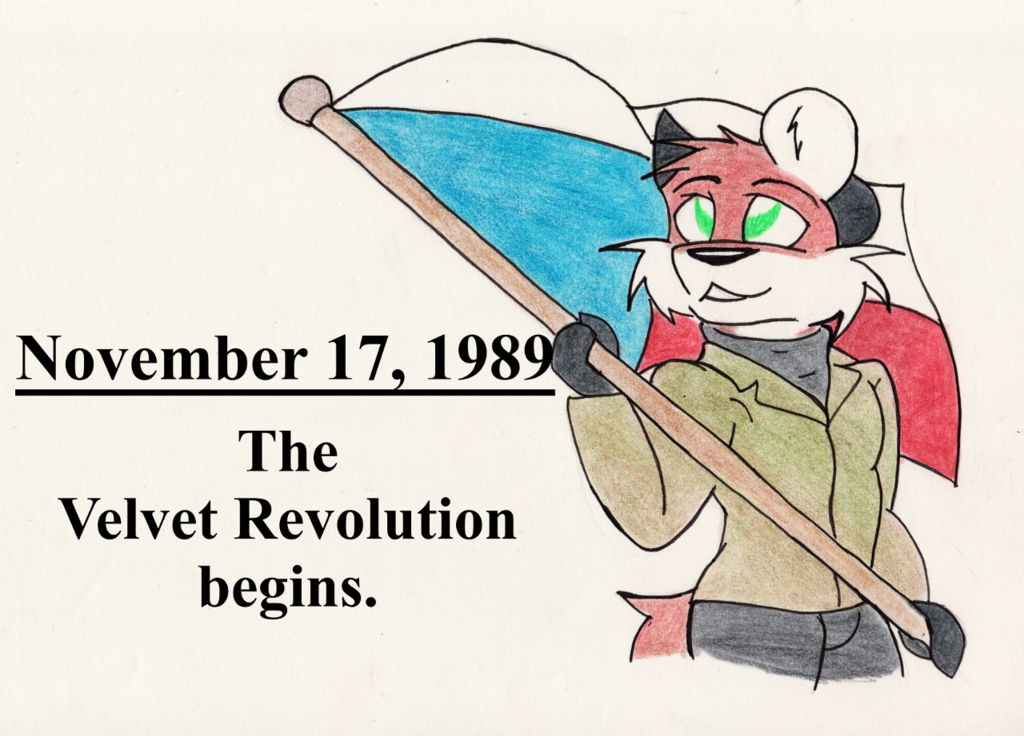 This Day in History: November 17, 1989