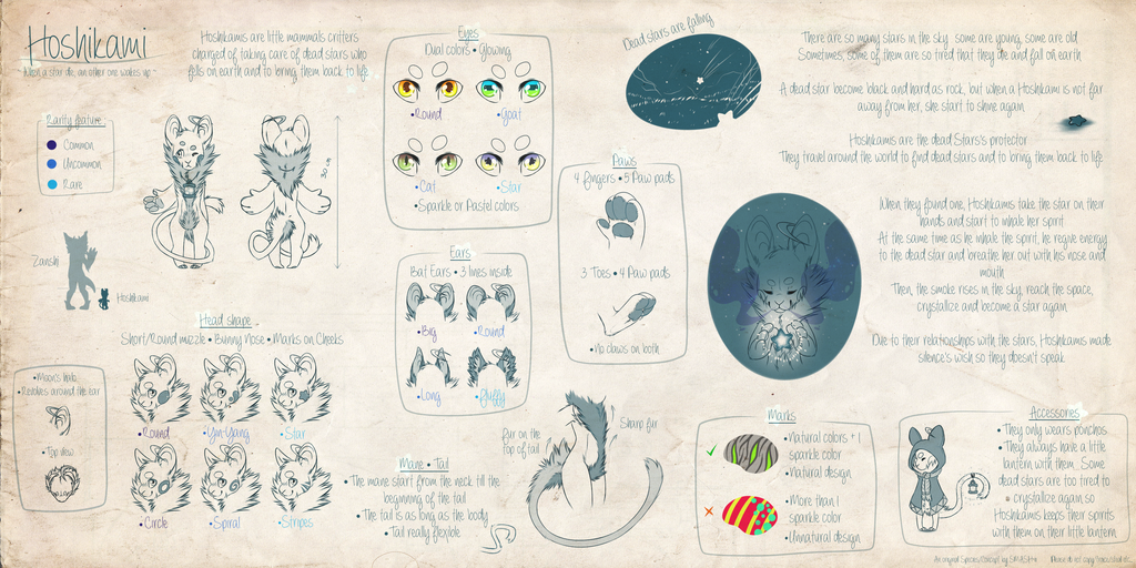 Hoshikami Species Guide