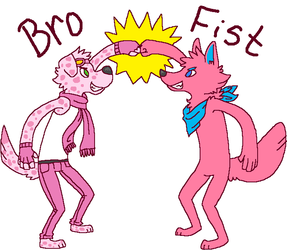 Bro Fist!