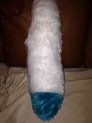 wolf tail