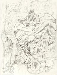 Jungle Dragon - Sketch