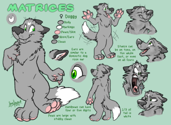 Matrices Character Reference