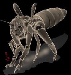 [Comm] Queen Bee K-SUIT WR-347