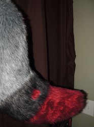 Part one of my partial: MY TAIL