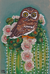 Floral Elf Owl