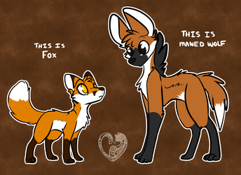 Fox and Maney