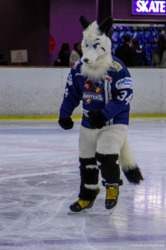 Furries On Ice: Lobba 1