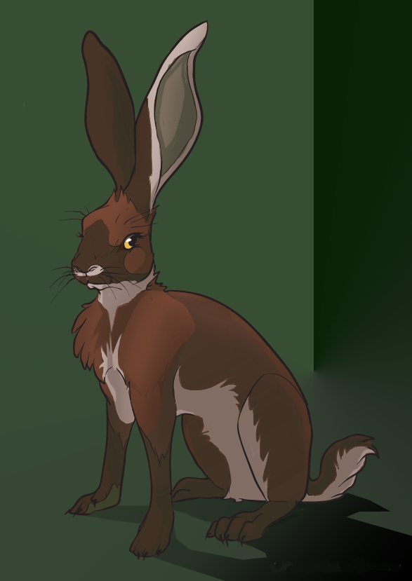 Sable Marten Hare
