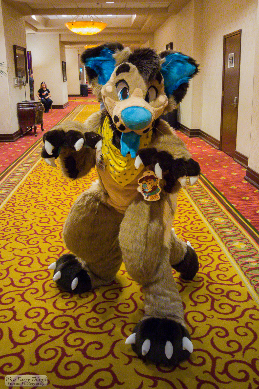 Most recent image: Bee at IFC 2015