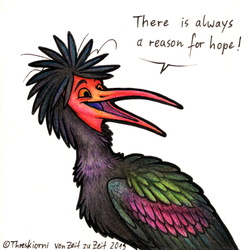 Reason for hope