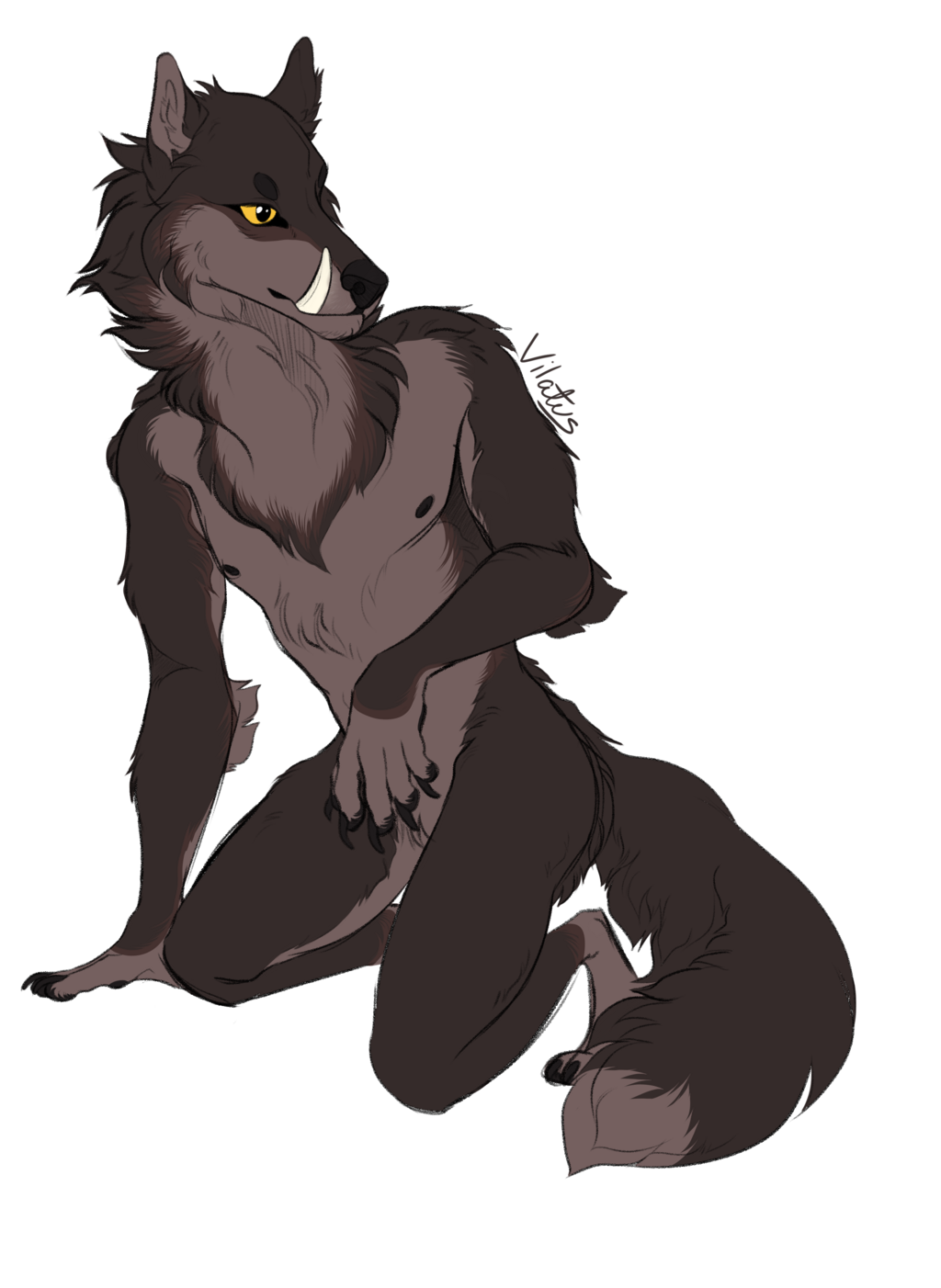 Most recent image: Werewolf OC