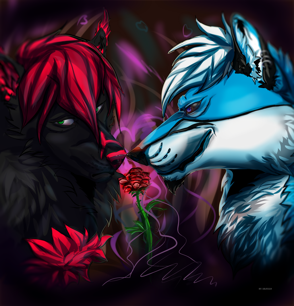 Kizu & Kenko love like the rose