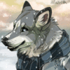avatar of Tolka