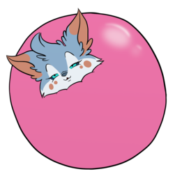 Bouncing Bubble-Fox