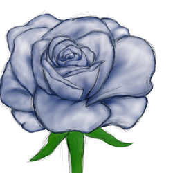 Blue rose (Paint practice in SAI)