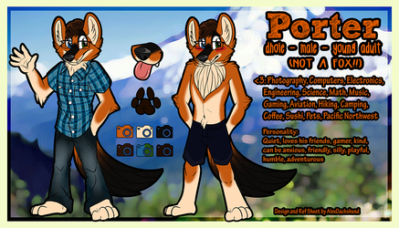 Dhole Character Design Commission