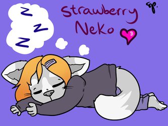 Neko Fell Asleep.