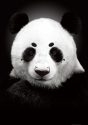 Disappointed Panda