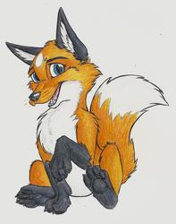 $5 Commission: Epitome Fox