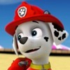 avatar of SilverSimba01