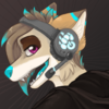 Avatar for dusticoyote