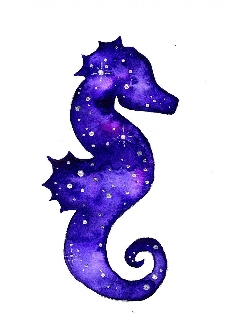 Galaxy Seahorse 