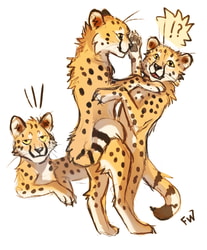 Cheetah dance