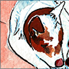 avatar of Bark