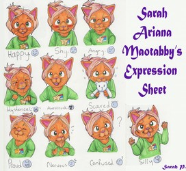 Sarah's Expression Sheet (February 2017)