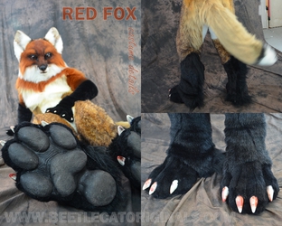 Red Fox (Details)