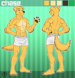 Chase Anthro Reference
