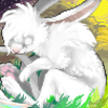 avatar of Bunny