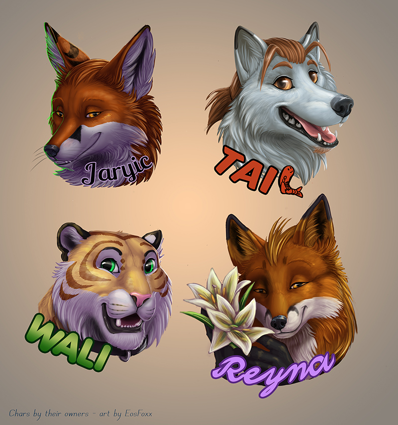 Badges for FWH 2017