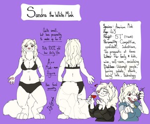 Happy Campers character sheet - Sandra