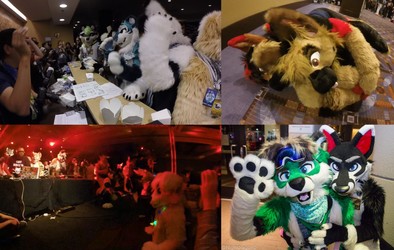 Midwest Furfest 2017 (Convention Video)
