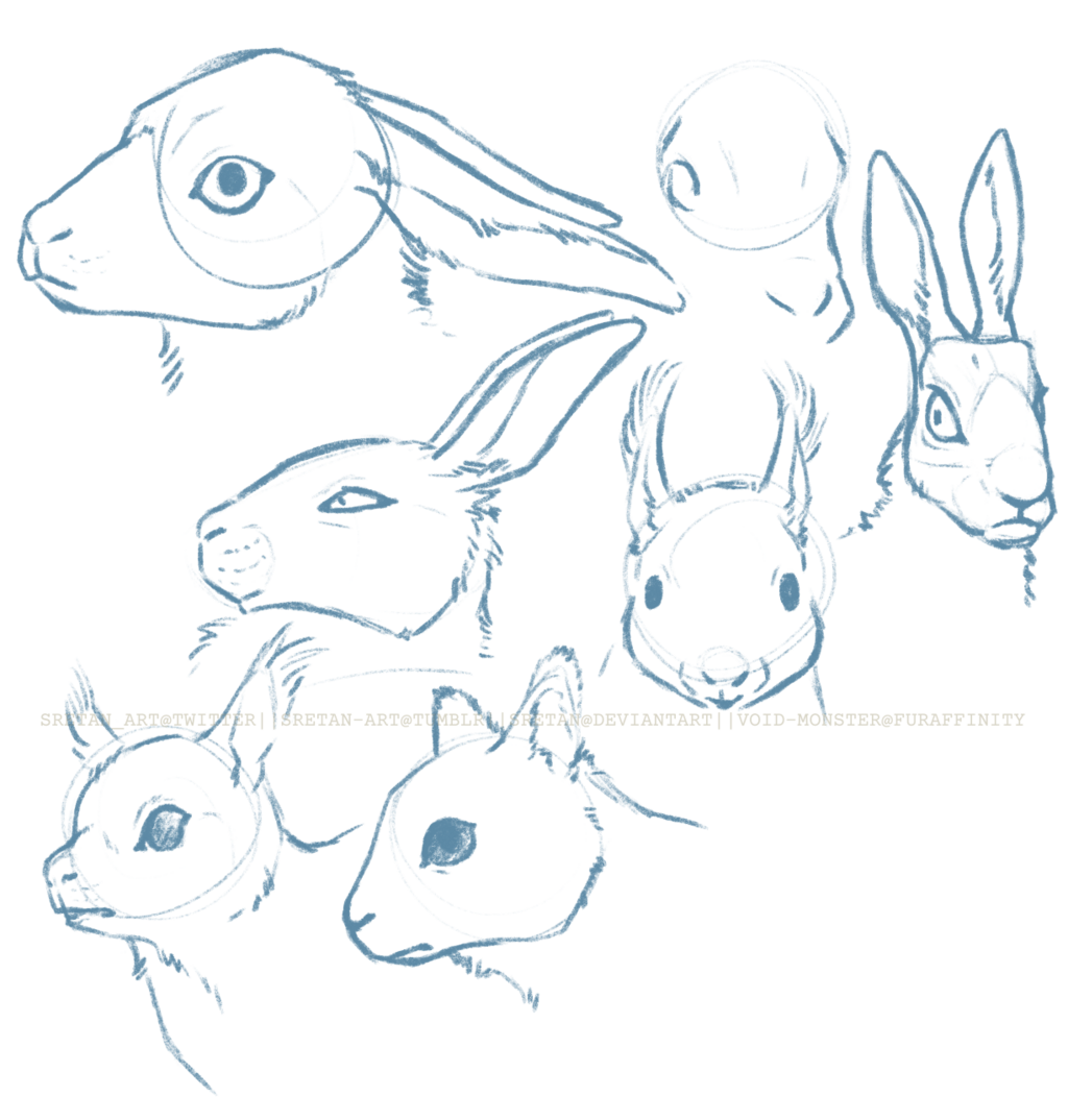 Hares & Squirrels