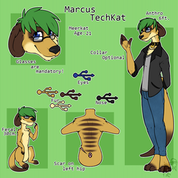 Reference Sheet 2015 SFW [By ColdHeartedHero]