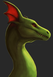 Dragon Portrait Practice