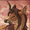 avatar of KiteWanderlust