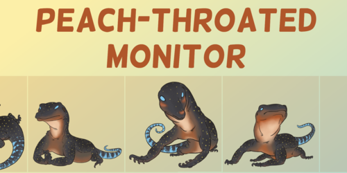 Telegram Stickers - Peach-Throated Monitor