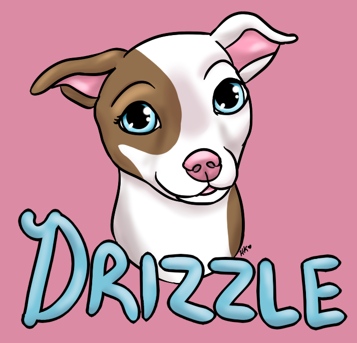Badge for Drizzle