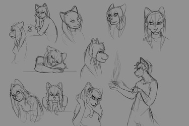 Cat Sketches