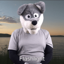 "Flashlight" ASL Gif