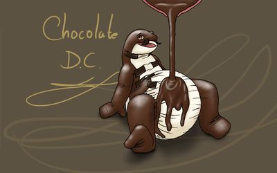 Chocolate DC