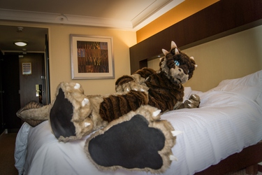 [CFz 2014] Chilling out in my room