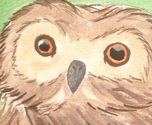 Watercolour Owl 2016