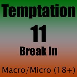 Temptation 11 - Break In