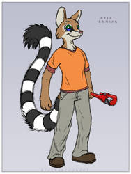 Ringtail Wrench