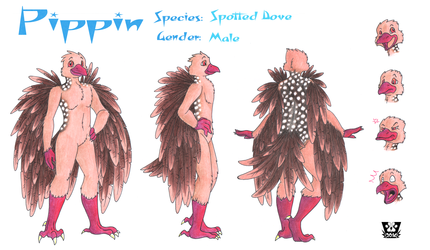 Pippin Traditional Reference Sheet