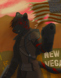 Welcome to New Vegas!